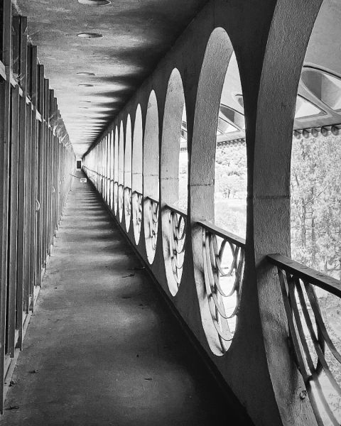 Marin Civic Center Windows