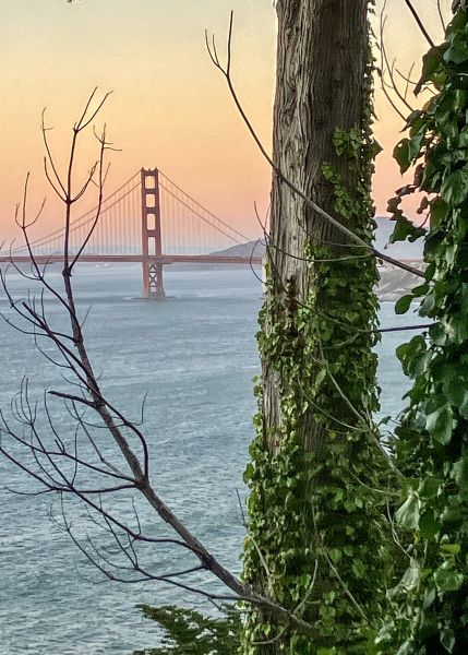 Golden Gate Bridge for Jo