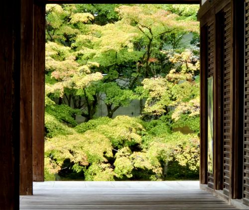 Zen Garden - Kyoto, Japan