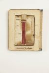 Masotti-Linda-Anatomy of a Book.jpg