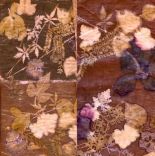 Ecoprinting - Exploring Backgrounds and Borders with Tannins